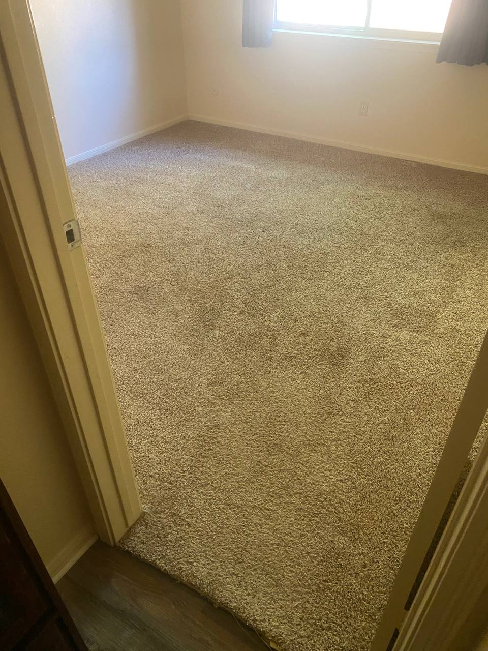 Before